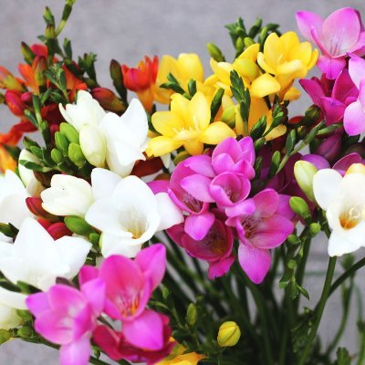 sofie1988112141's profile picture. 