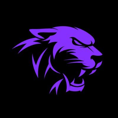 My name is Josh & I'm the host of CGD 🙋🏼♂️ Designer of 3D environments in Fortnite, Halo, Splitgate, VeVeVerse & more! ✨ Visit our website to learn more! 👇