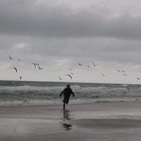 🍁جهاد الفارس🪽 (@kemoahdad) 's Twitter Profile