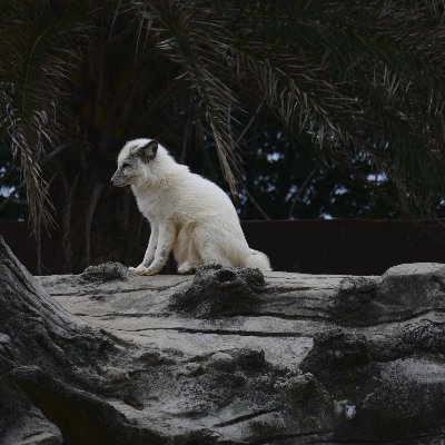 jnyjn1683854's profile picture. 