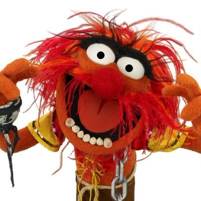 bfritz49456's profile picture. 