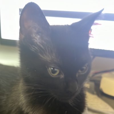 MNC_X23's profile picture. 