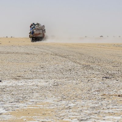 Inquiring into the decline of common migrant birds in the African-Eurasian flyway
https://t.co/INmKB909ZG

Photo: Pied wheatear, Bahrain, © Ajay Kumar Singh