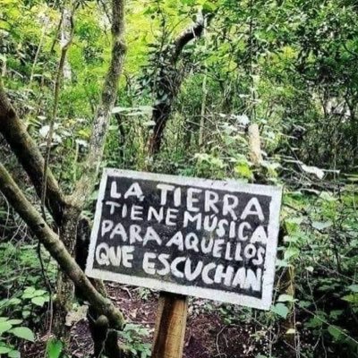 GomezcastaEli's profile picture. H