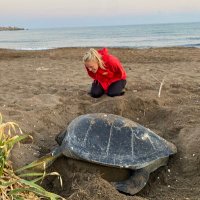 Martha O’Keefe (@okeefemarth) 's Twitter Profile