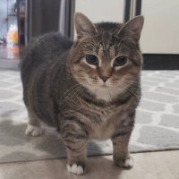 TheKingfish (@kingfish_the) 's Twitter Profile
