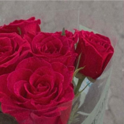 umm_sumayyahh's profile picture. منهج السلف الصالح