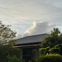 うせい (@useioffice) 's Twitter Profile