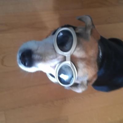 NicholSimmons's profile picture. I've written newscasts, podcasts, short stories, features, & shorts. Sometimes I even get paid. Sundance award-winner, 2x Nicholl semi-finalist. 
She/they