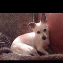 Janet Perry - @hardtail54 - Twitter