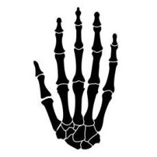 5takujanai's profile picture. 계정정지 당해도 맛있는건 먹어야지