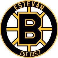 Eagle Sky Estevan Bruins (@estevanbruins) 's Twitter Profile