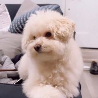 ก็..นั้นแหละ (@nunoom16) 's Twitter Profile