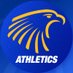 Embry-Riddle Eagles Profile picture
