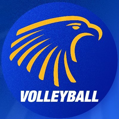 The Official Twitter page for Embry-Riddle Volleyball.