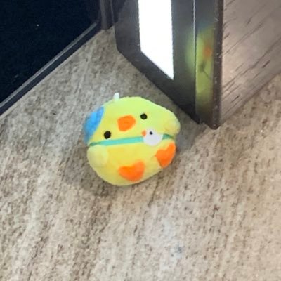 n ★彡さんのプロフィール画像