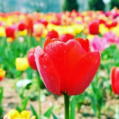 dosgame1234's profile picture. 