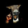OutFarsi's profile picture. اکانتی که قبلا طنز بود ولی اکنون برای آزادی وطن اطلاع رسانی میکند. توییت غیر سیاسی ممنوع🚫ما برای ایران جان میدهیم💯🔉