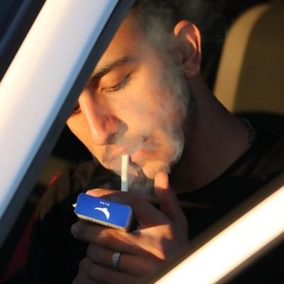 avalizadeh1212 Profile Picture