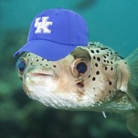 Pufferfishe ✝️🇺🇸 #BBN(@Pufferfishe_) 's Twitter Profile Photo