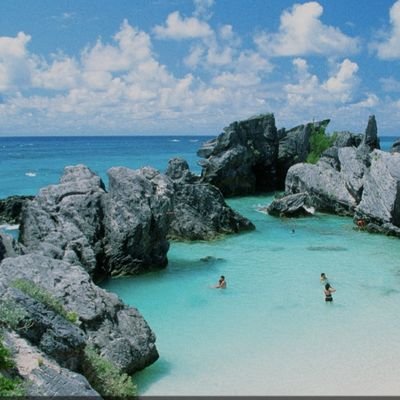 Jimg5310S's profile picture. Go Yankees !