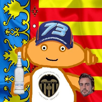 Vinaròs | Cerdanyola del Vallès🌹🇪🇺 🏛️🗳️🌐 Relacions Internacionals UAB