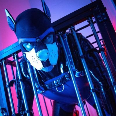 Rubber_Pup_Tex's profile picture. 