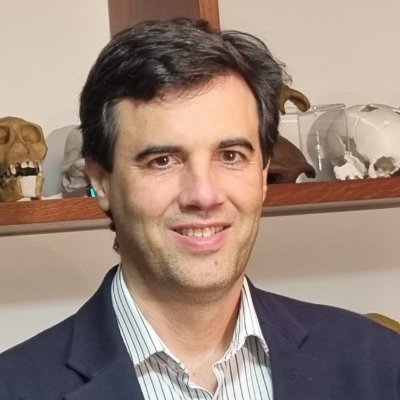 Roberto Sáezさんのプロフィール画像