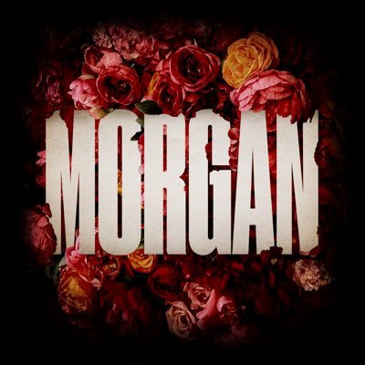 morgan_musica Profile Picture