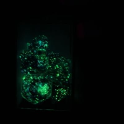 Kahoonall's profile picture. 