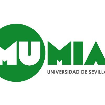 Máster Universitario en Marketing e Investigación Aplicada de la @unisevilla @FceyeUS.