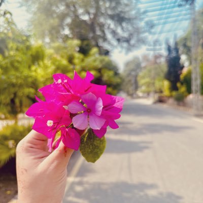 vanillaaacandyy's profile picture. rant & cry over fictional characters || amateur chef || cricket enthusiast || forever a LQ || meetha is life                             thread acc @remsthreads