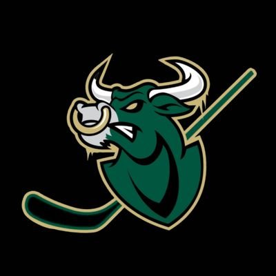 Official USF D3 Club Hockey Team Page | Home Arena - Advent Health Center Ice | CHS DIII | CHF DIII 🤘🐂GO ICE BULLS 🐂🤘