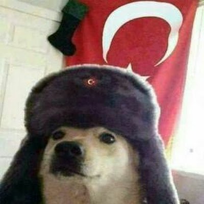 TengEmre's profile picture. 