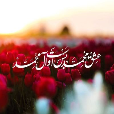 همسر♥️مادر❤
انقلابی✌
تا پای جان پای《ایرانِ اسلامی》
پیج قبلیم حذف شد
فالو=بک لطفا🙏