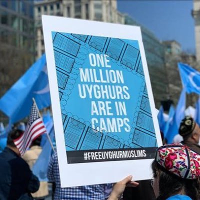 Celilgunaydin's profile picture. Uyghur rights advocate. Geopolitics & human rights