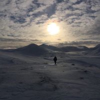JS (@jacksimmons101) 's Twitter Profile