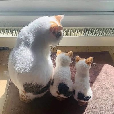 92Jtz's profile picture. Holla gais