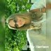 Eliana Ventura (@venturaeeli_an) Twitter profile photo Eliana Ventura (@venturaeeli_an) Twitter profile photo