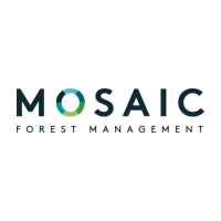 MosaicForests (@mosaicforests) 's Twitter Profile Photo MosaicForests (@mosaicforests) 's Twitter Profile Photo