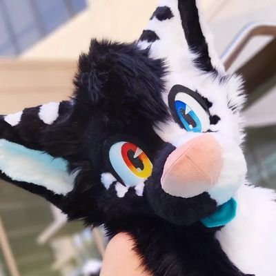 Tudeowo Profile Picture