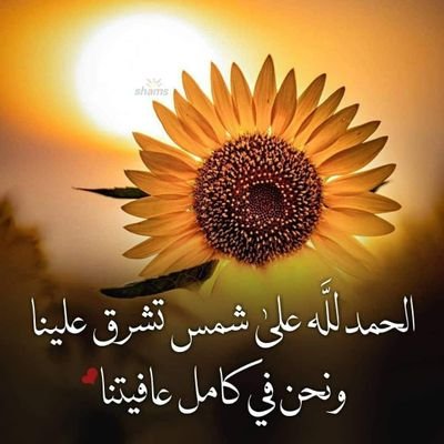 من يحبني احبه ومن كرهني حتى هو  احبه