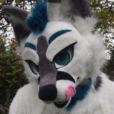 Male | 33 | Gay | Taken | Danish Arctic Fox | Suit by Lisa's Creature Crafts | Gamer, handyman and board games :D