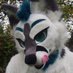 NinjaFox 🔜 NFC (@ninjafox_dk) Twitter profile photo NinjaFox 🔜 NFC (@ninjafox_dk) Twitter profile photo