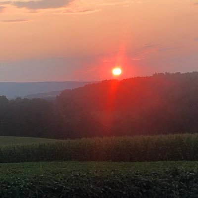 amyrunkle_'s profile picture. 