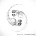 Zebrafish Dev. Neurobiology Group (@zebrafishgroup) Twitter profile photo Zebrafish Dev. Neurobiology Group (@zebrafishgroup) Twitter profile photo