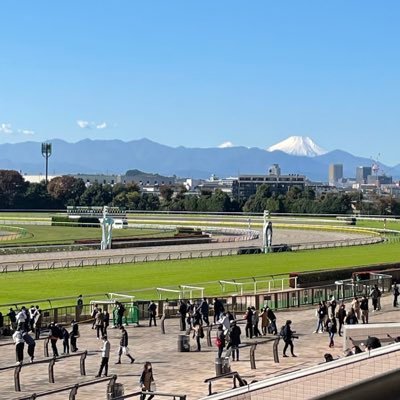 一口馬主。 競馬歴は30年超(の30代w)。シルク/DMM/インゼル/ノルマンディー/広尾/京サラ。アカウント乗っ取られたので10月から再スタート！同志の方と一緒に現地応援して盛り上がりたいです。