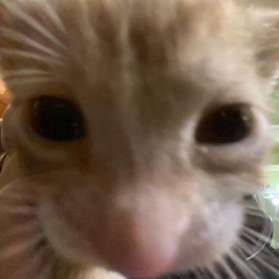 Desinform0's profile picture. Ella-She/Her
🇺🇾