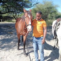 Otis Knight (@otisothata) 's Twitter Profile