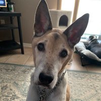 Nikki Erickson (@nag_productions) 's Twitter Profile
